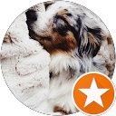 Adventures by Buddy profile picture