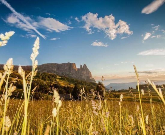 Garni Alpin in Siusi allo Sciliar - South Tyrol