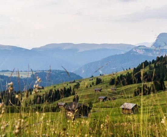 Garni Alpin in Seis am Schlern - Südtirol