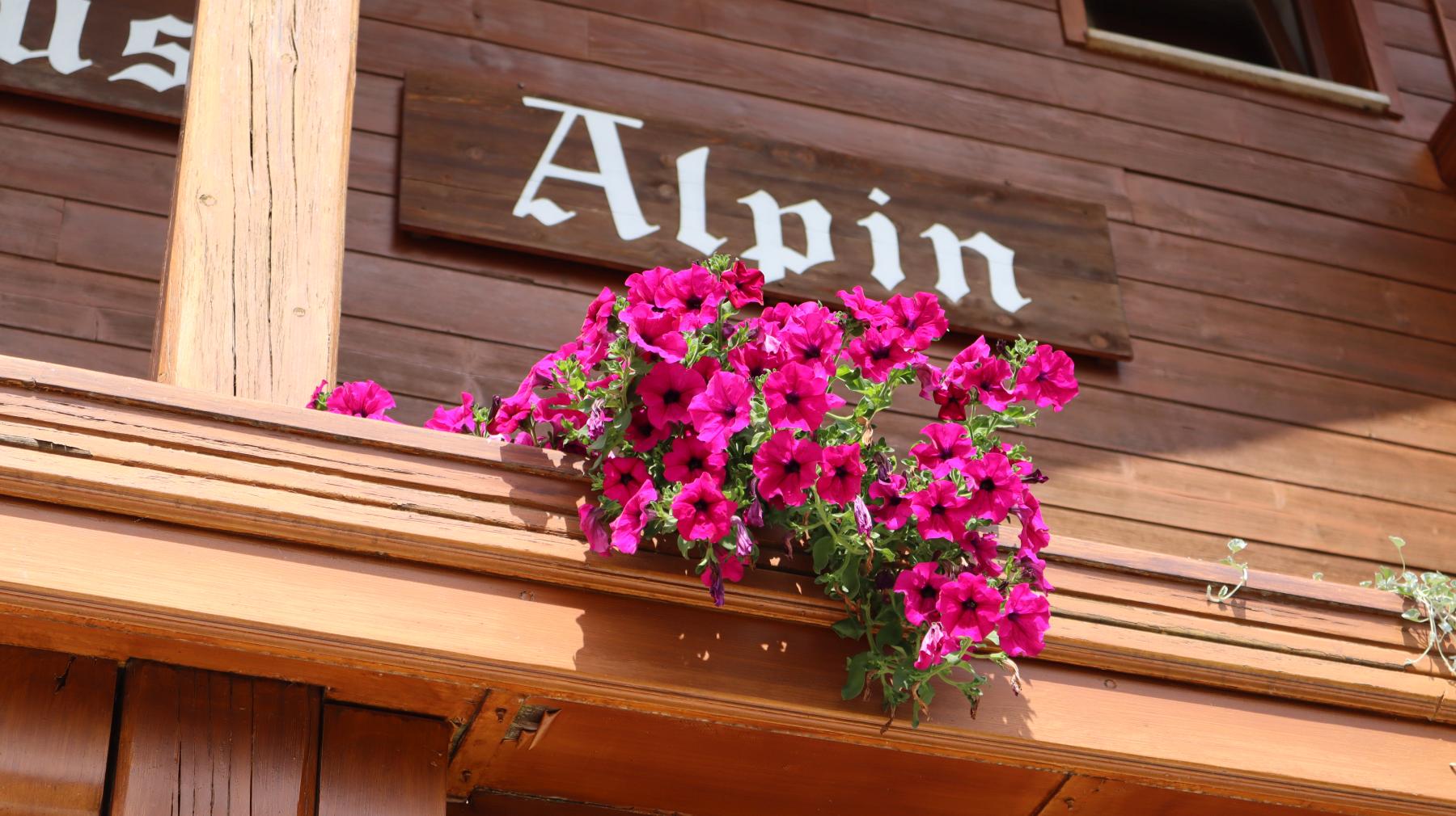 Garni Alpin Seis am Schlern Südtirol Dolomiten Seiser Alm Gästezimmer Frühstück Unterkunft Bed & Breakfast Wintersport Wandern (25)