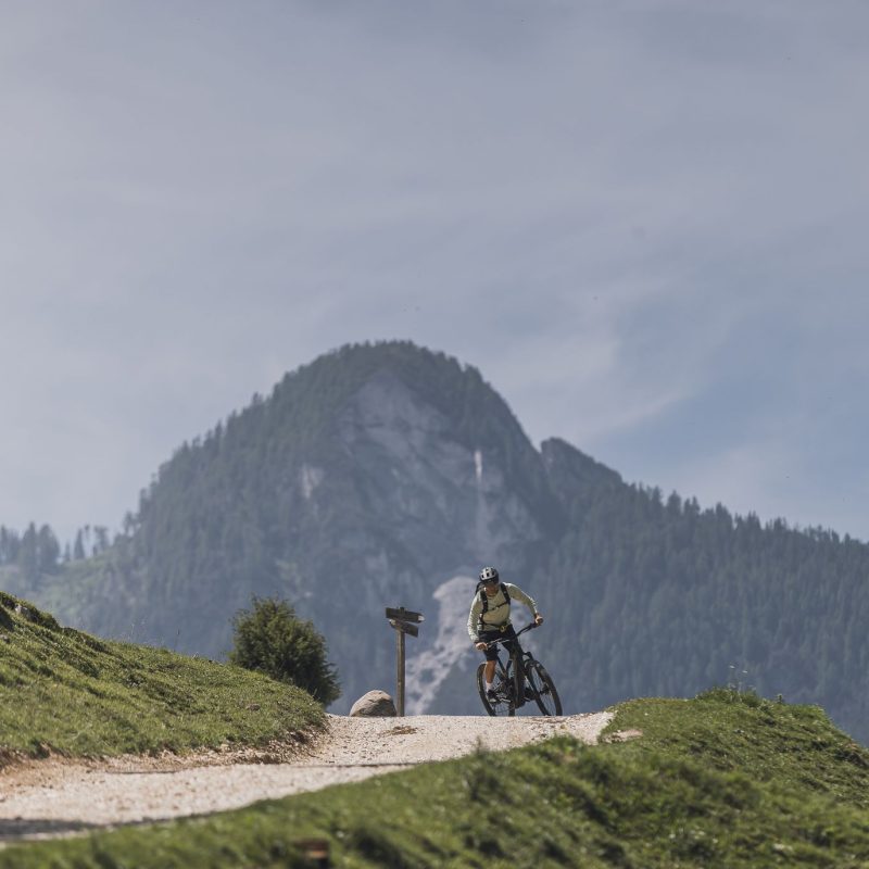 naturparadies seiser alm urlaub seiser alm sommer wanderferien dolomiten aktivsport familienurlaub südtirol bergurlaub naturgenuss (2) naturparadies seiser alm urlaub seiser alm sommer wanderferien dolomiten aktivsport familienurlaub südtirol bergurlaub naturgenuss (2)