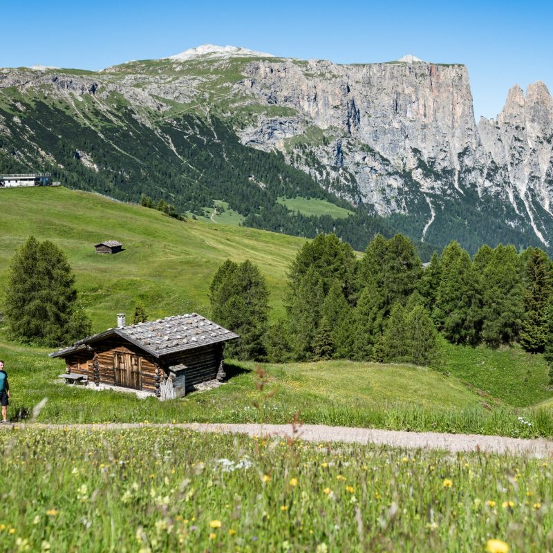 naturparadies seiser alm urlaub seiser alm sommer wanderferien dolomiten aktivsport familienurlaub südtirol bergurlaub naturgenuss (4) naturparadies seiser alm urlaub seiser alm sommer wanderferien dolomiten aktivsport familienurlaub südtirol bergurlaub naturgenuss (4)