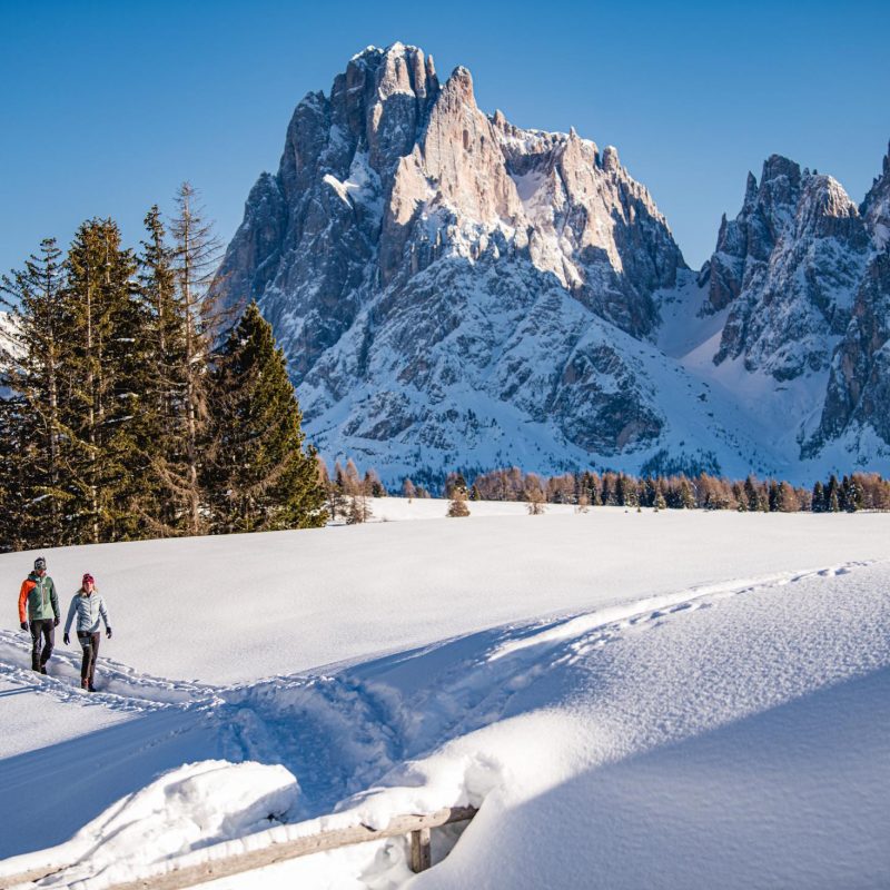 Skiurlaub Seiser Alm Dolomiten Winter Skigebiet Seis Schlern Pisten Familie Kinder Schnee Langlauf Rodeln snowboard (3) Skiurlaub Seiser Alm Dolomiten Winter Skigebiet Seis Schlern Pisten Familie Kinder Schnee Langlauf Rodeln snowboard (3)